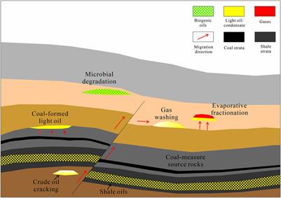 Editorial: New advances in light oil/condensate geochemistry